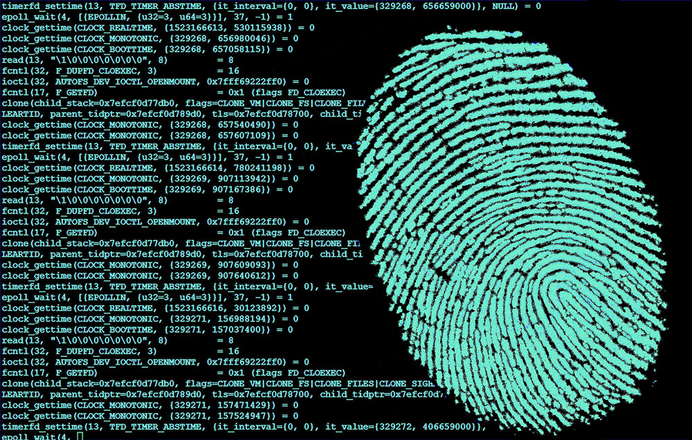 Peritaje Informático Forense